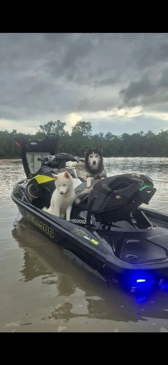 JET SKI SEA DOO RXT RS 260 - Foto 5
