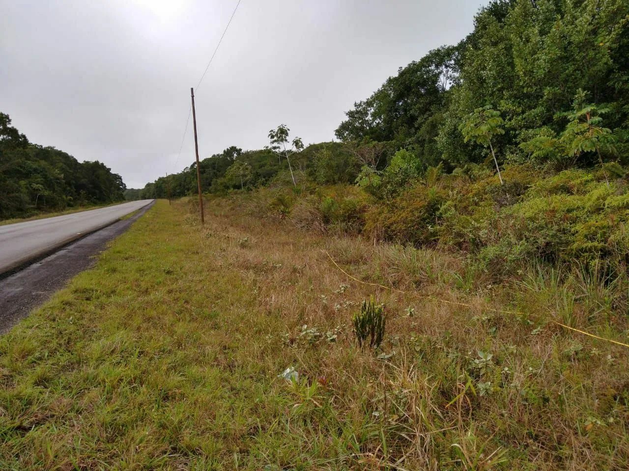 Terreno cidade de cananeia  - Foto 2