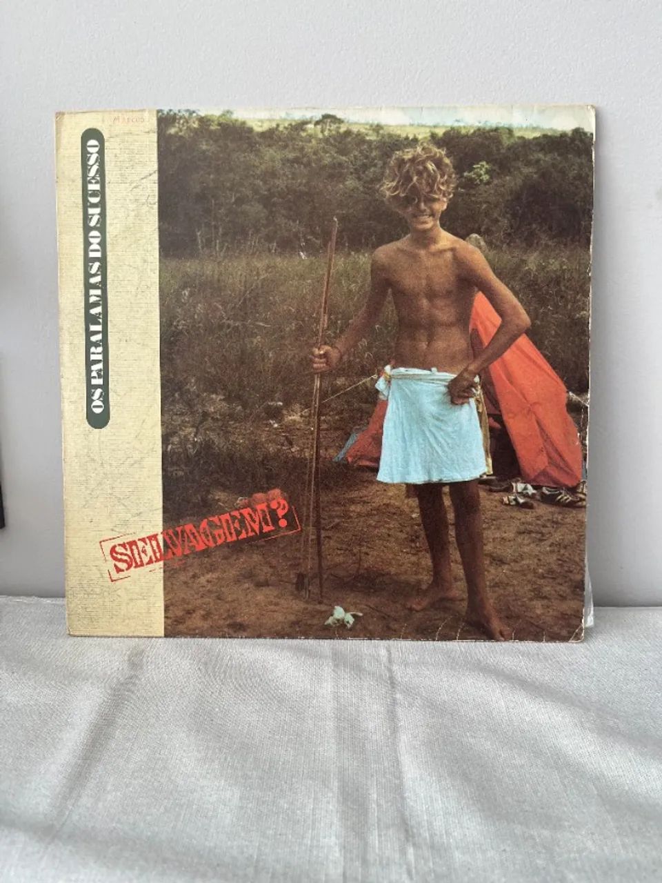 PARALAMAS DO SUCESSO - DOIS DISCOS VINIL