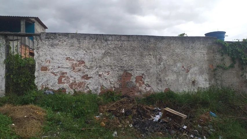 Terreno plano e murado no Coelho - Foto 4