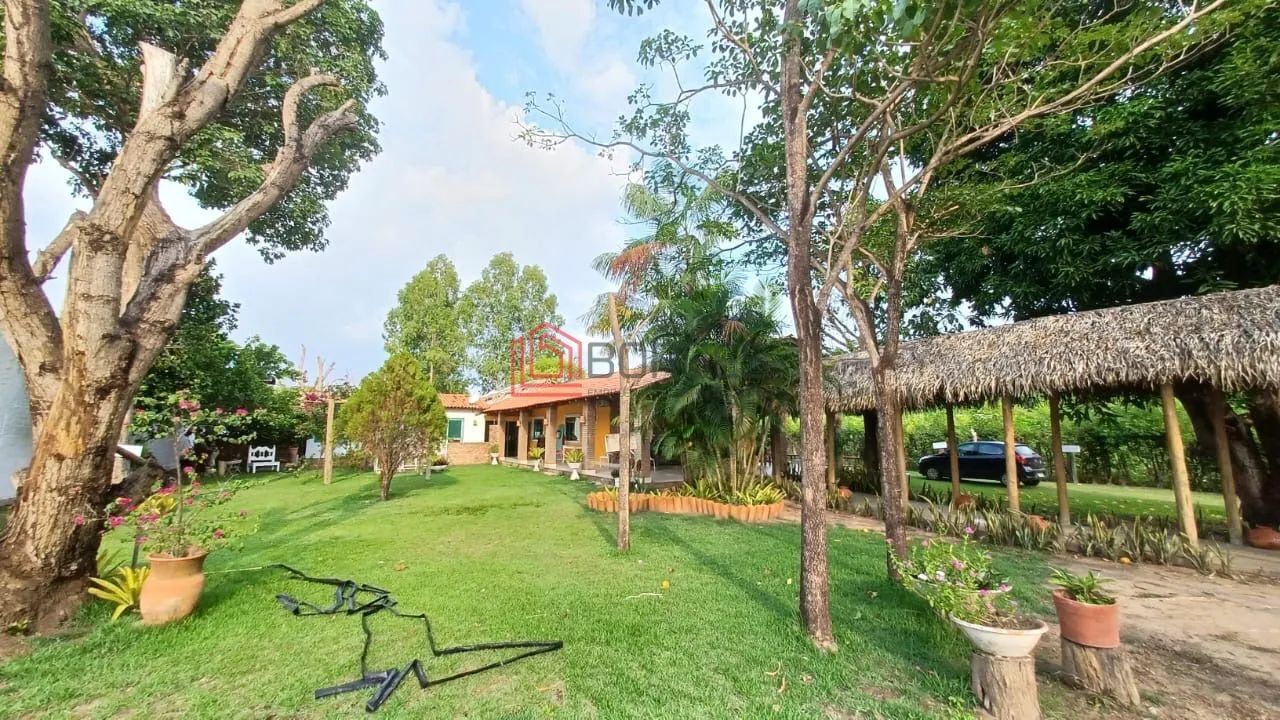 Café no Quintal à venda - Foto 3