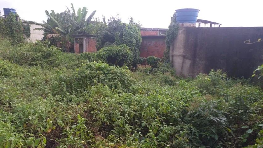Terreno plano e murado no Coelho - Foto 2