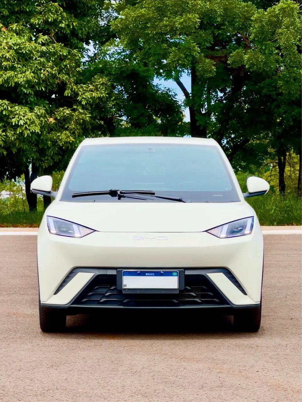 BYD Dolphin Mini (Elétrico) 2024