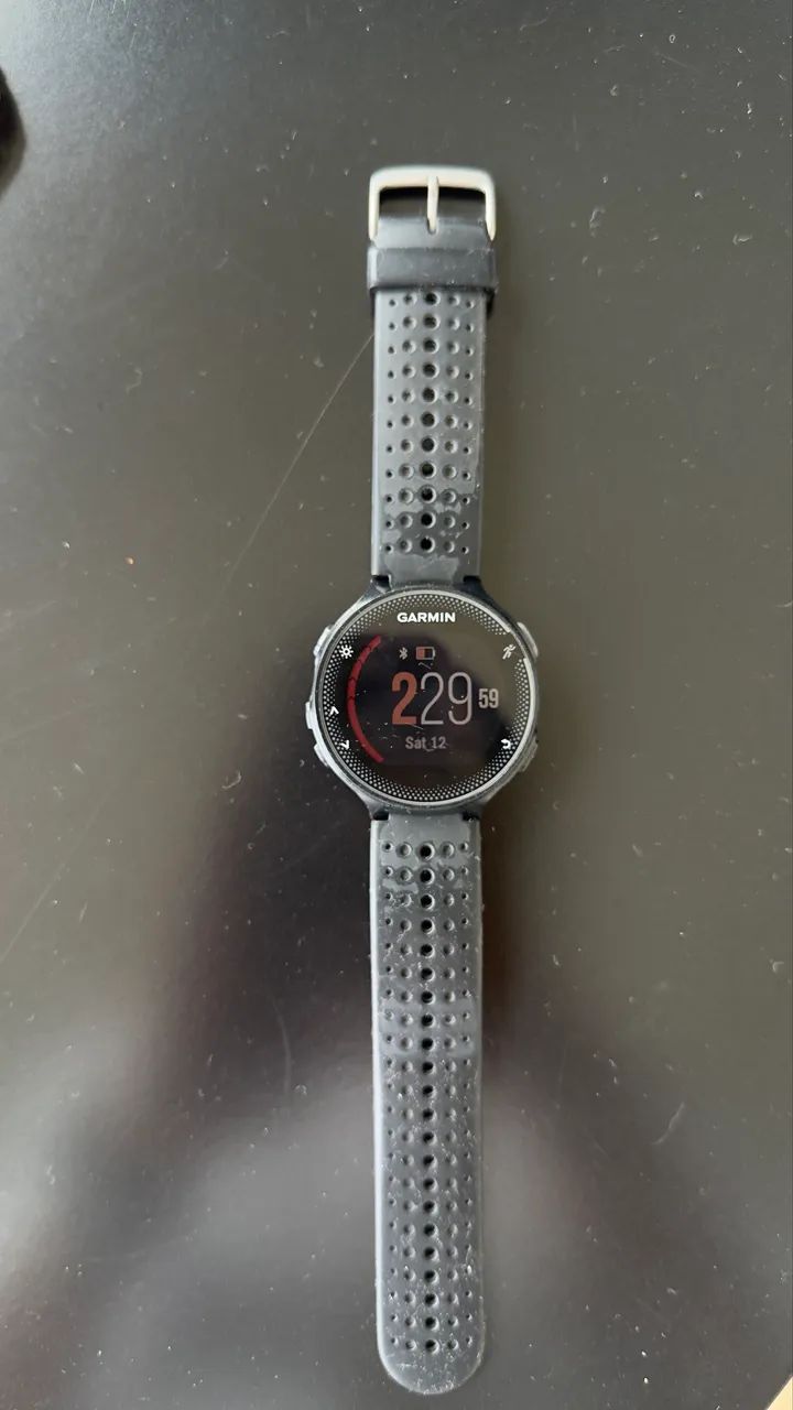 Garmin 255 
