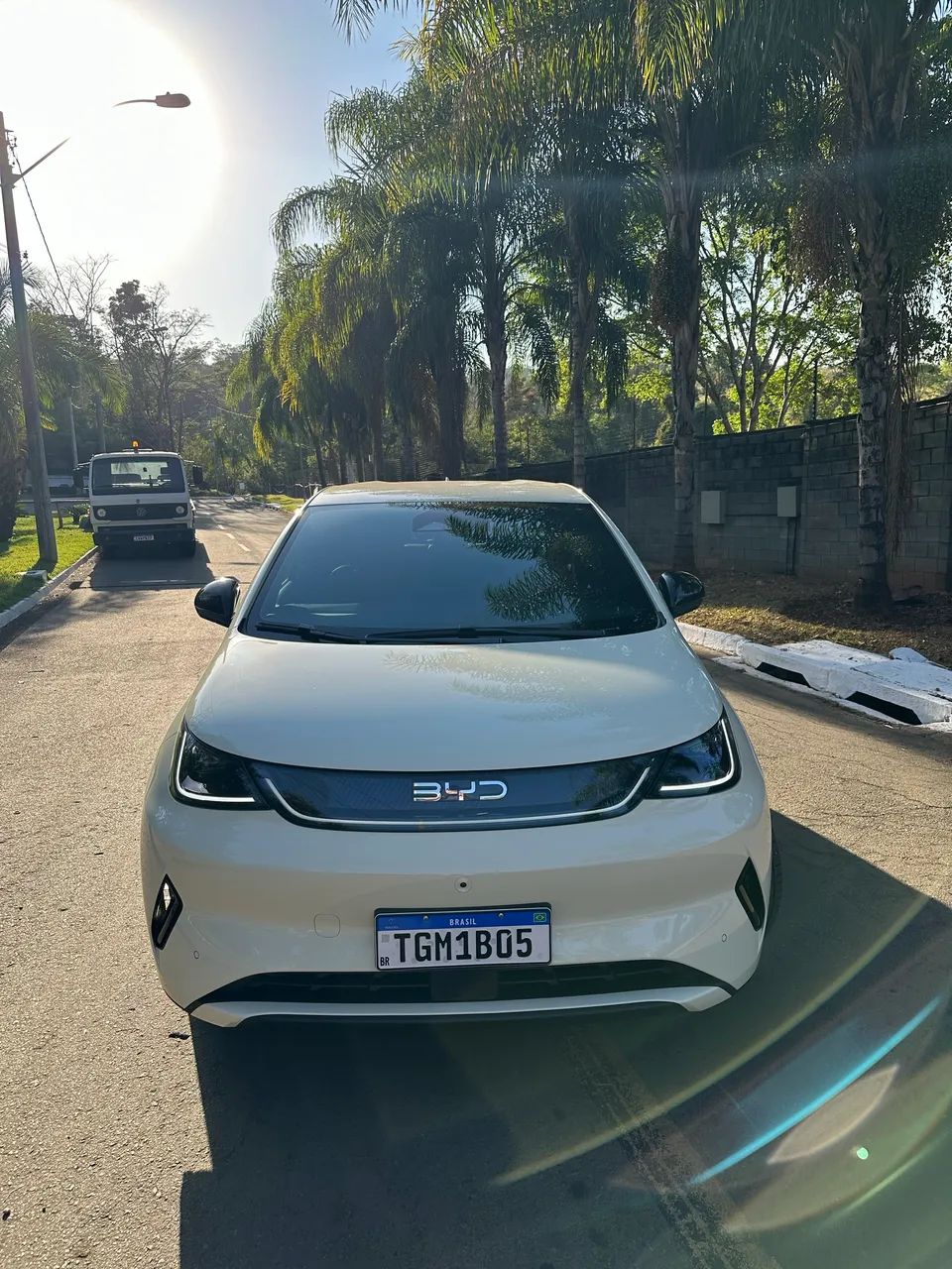 BYD Dolphin SE 2027 - Foto 2