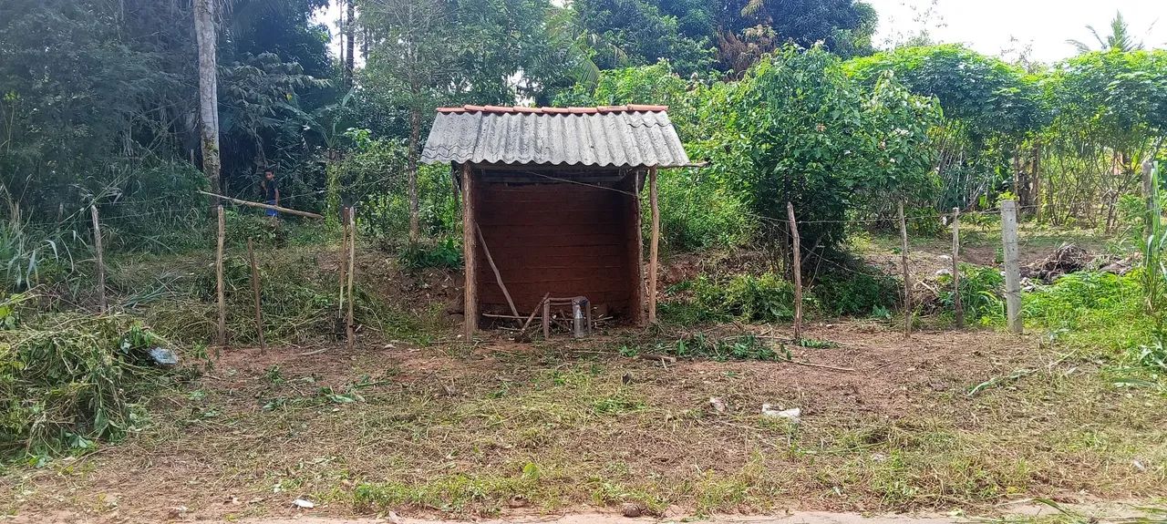 Vendo esse terreno  - Foto 4