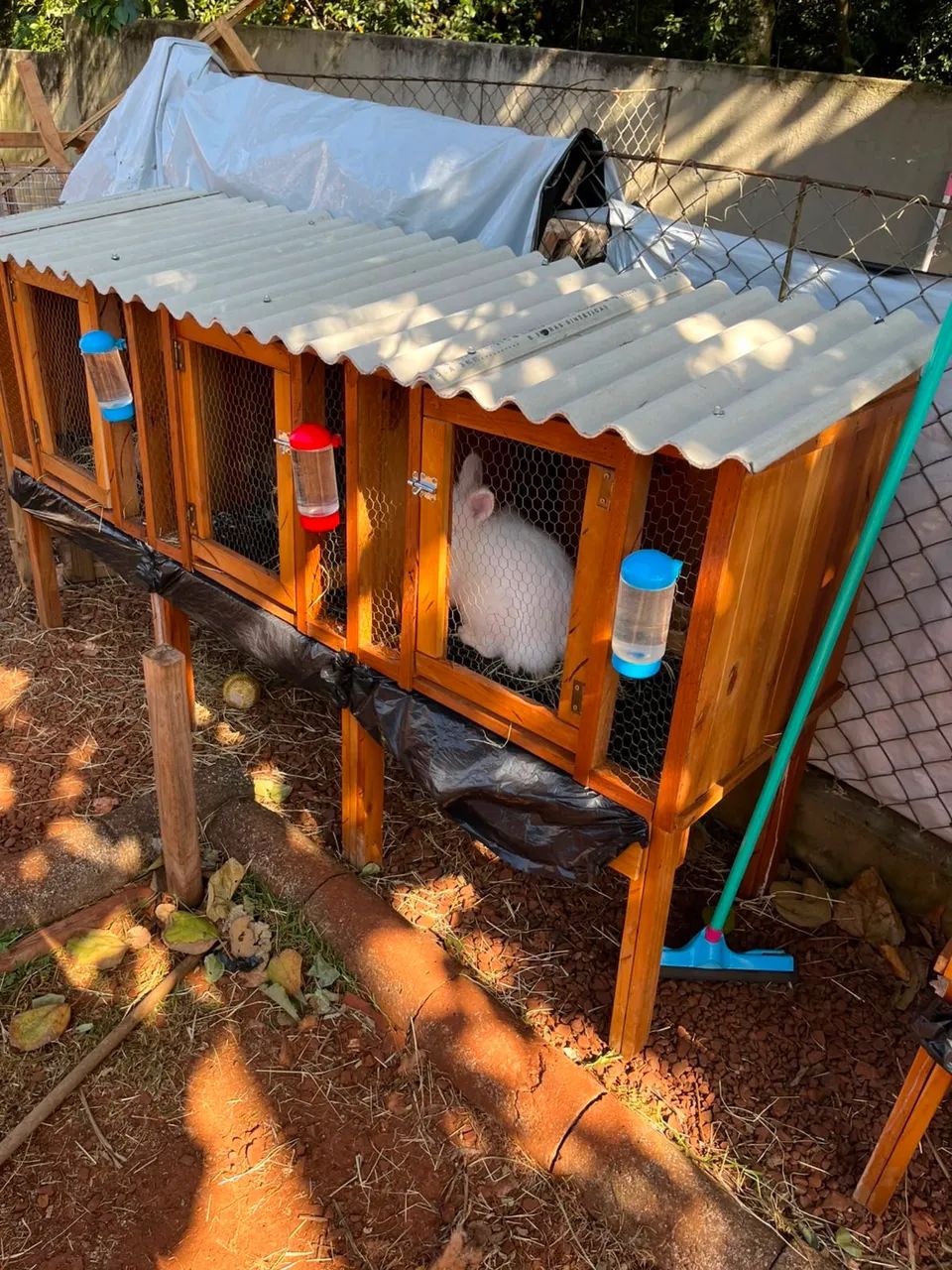 Viveiro para pequenos animais  - Foto 2