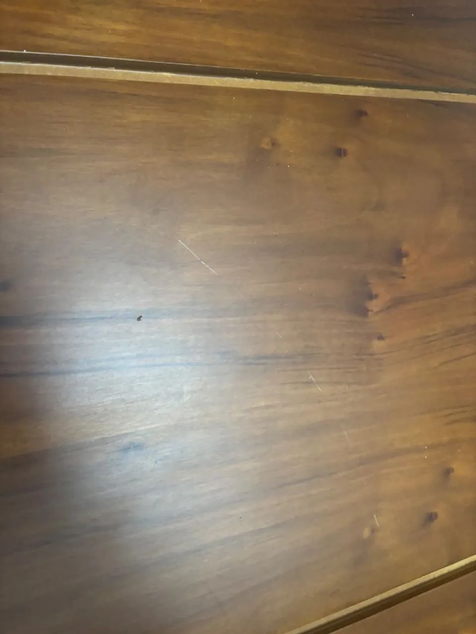 Painel de parede - Foto 4