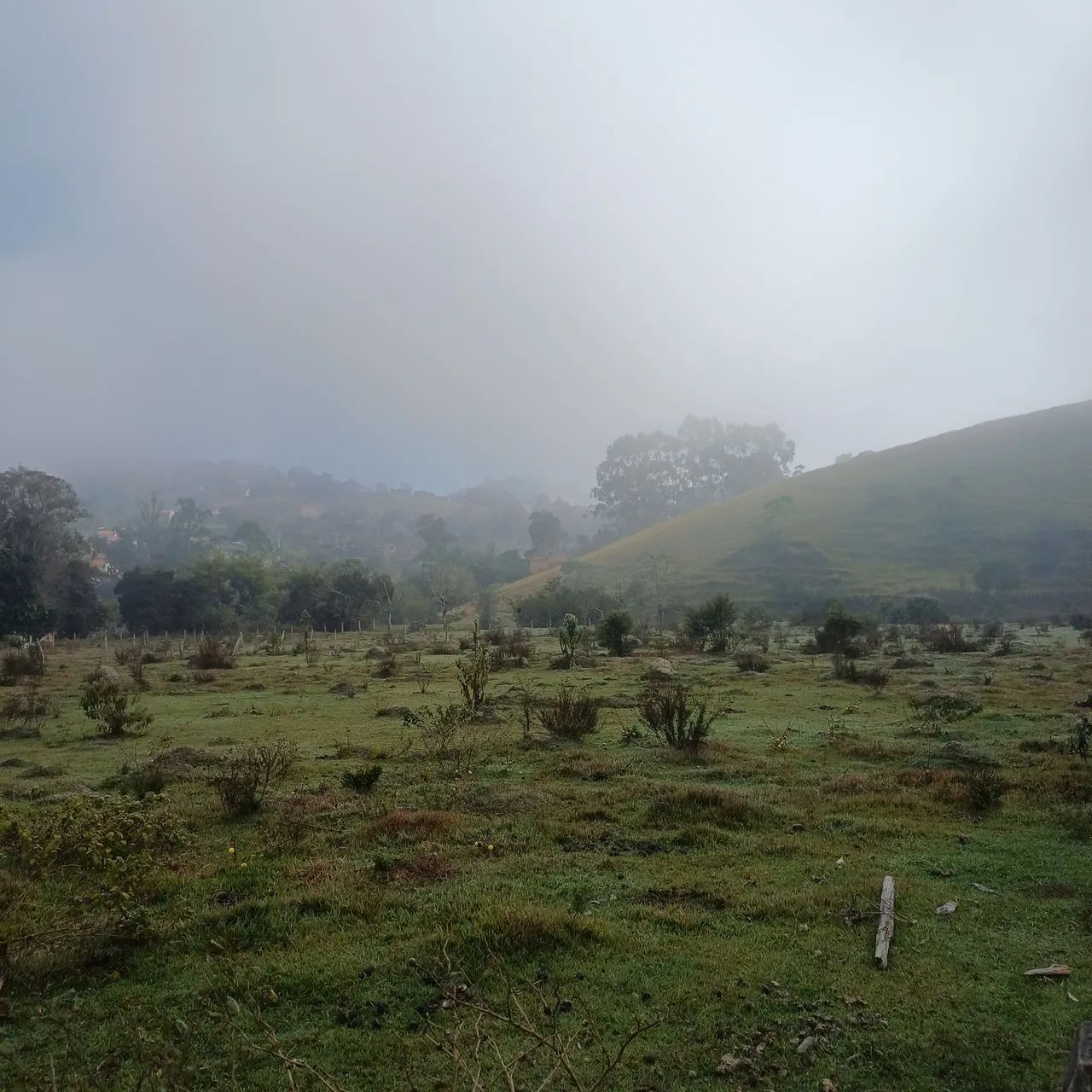 Terreno 6000m²  - Foto 3