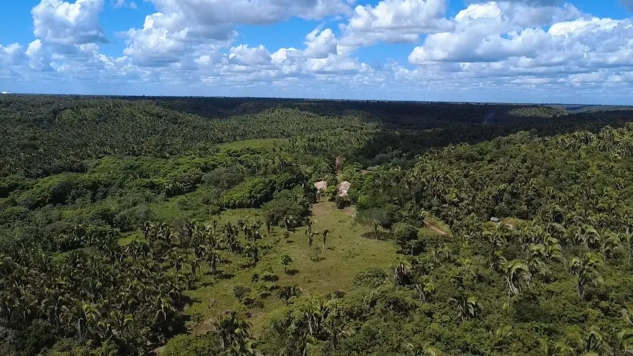 Fazenda 830 hectares  - Foto 5