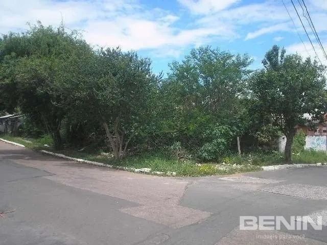 Área/Lote/Terreno em MARECHAL RONDON. Área/Lote/Terreno em MARECHAL RONDON. - Foto 4