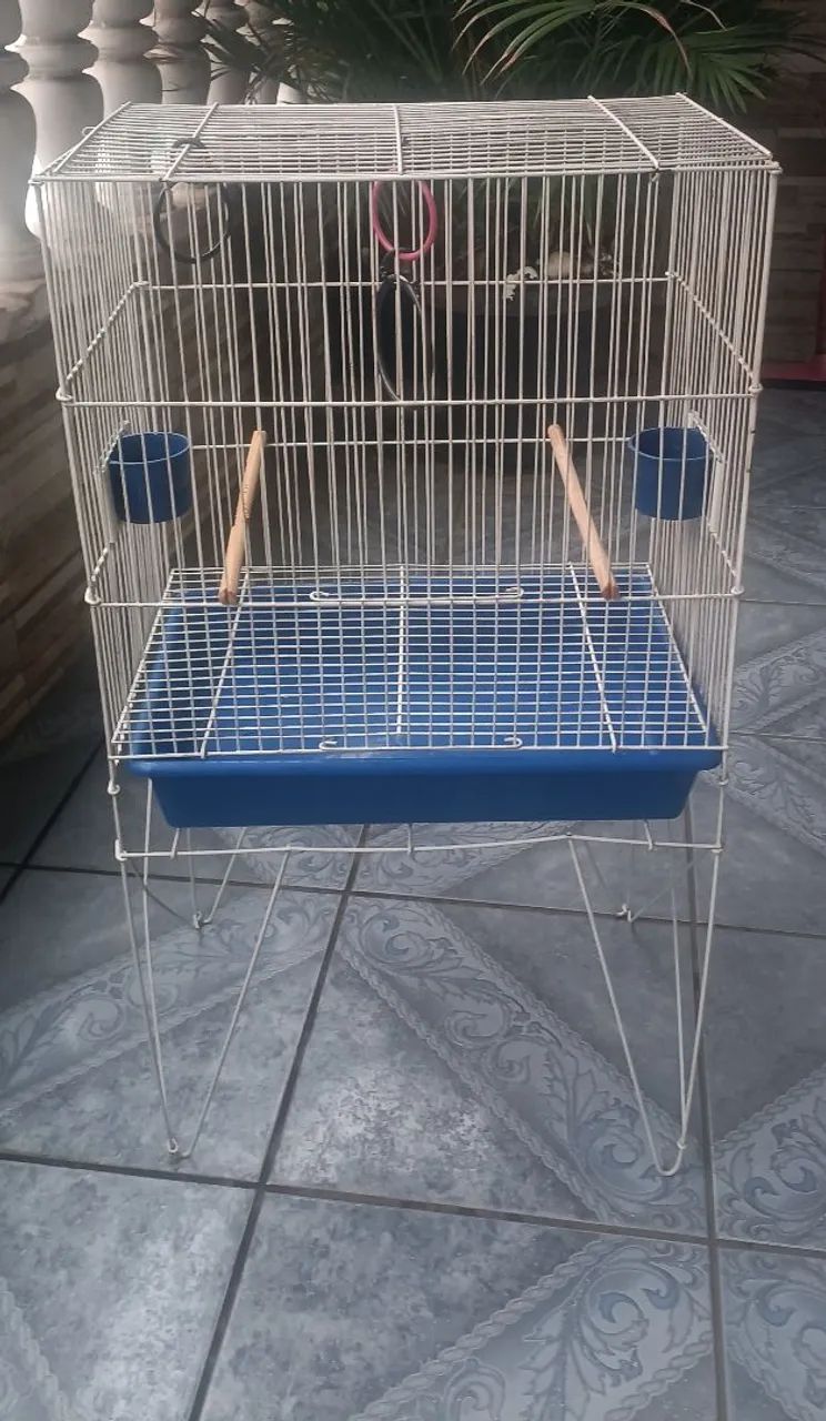 Gaiola Pássaros 