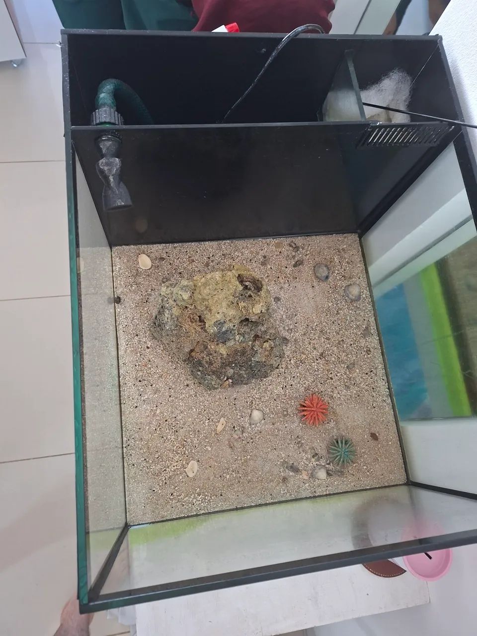 Venda de Aquário  - Foto 2