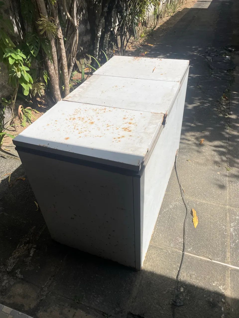 Freezer
