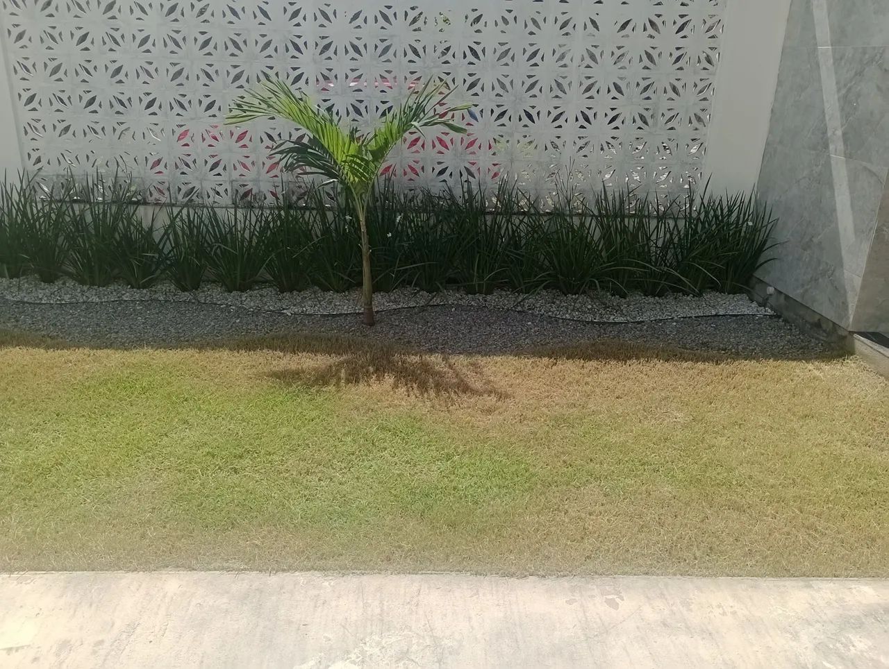 Jardineiro  - Foto 5