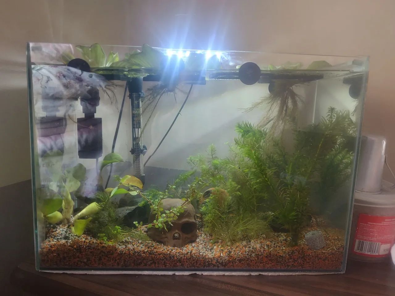 Aquário 45L Completo | Pronto para Uso - Foto 6
