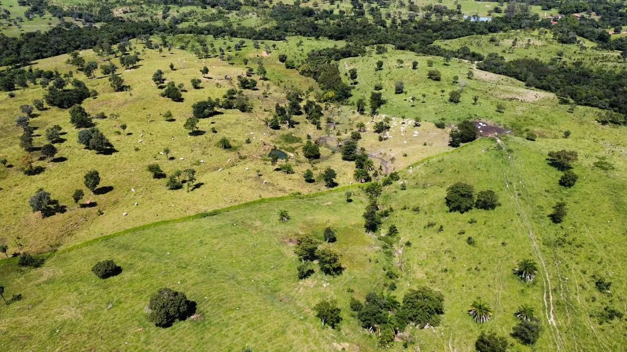 Fazenda em Faina -  72 Alqueires  - Foto 5