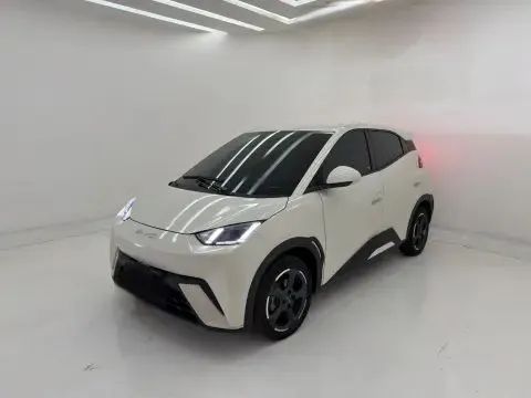BYD Dolphin Mini (Elétrico) 2023 - Foto 2