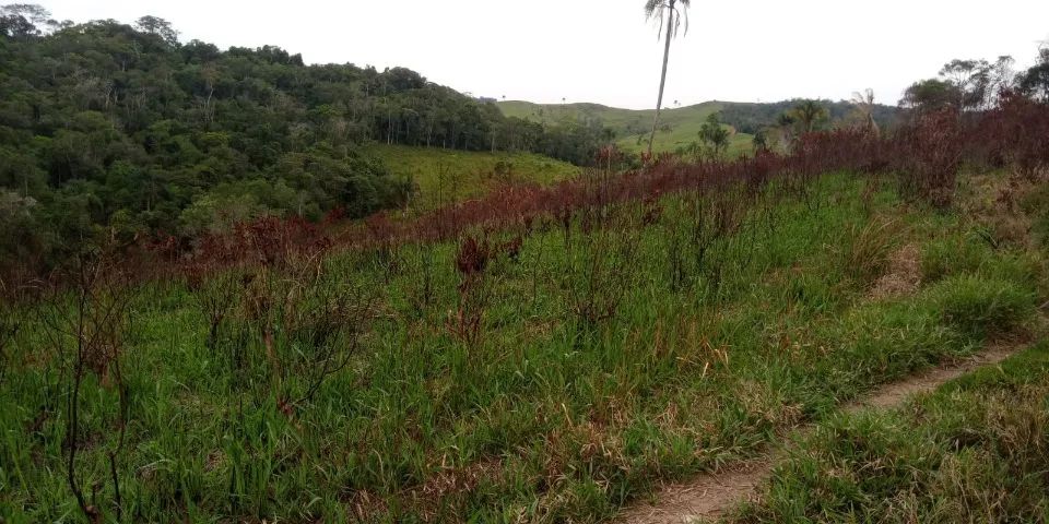 Sítio Jacupiranga/ Eldorado - Foto 4