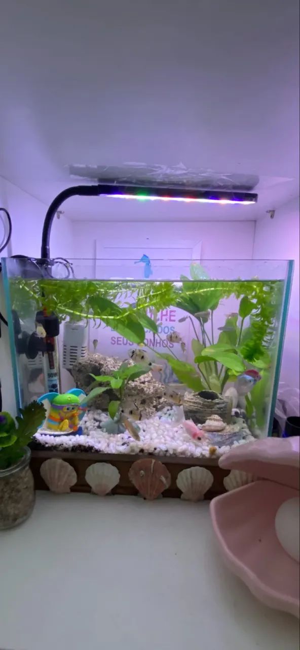 Aquario 15l base de madeira - Foto 4