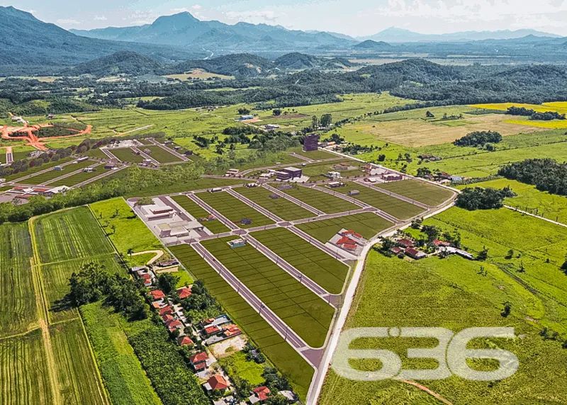 Terreno | Joinville | Rio Bonito - Foto 4