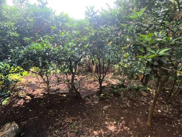 CASA NO BAIRRO FLORESTA COM 2 MORADIAS (Aceito trocas) - Foto 3