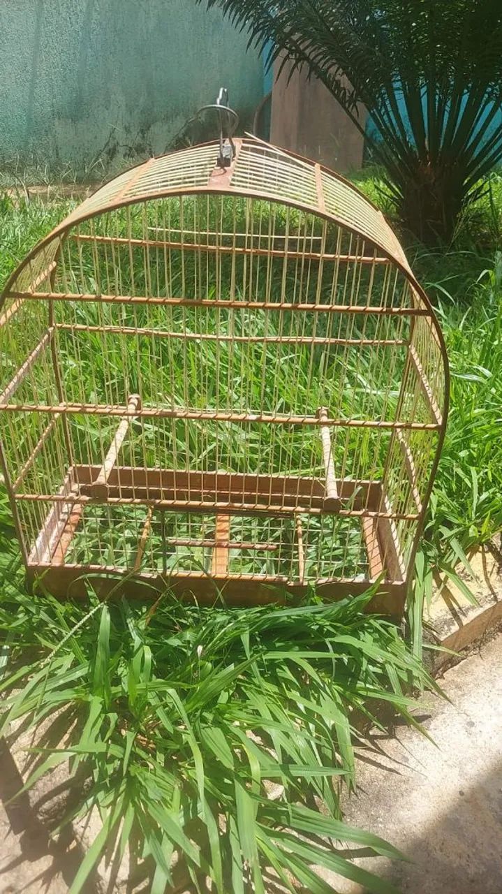 Gaiola para pássaros 