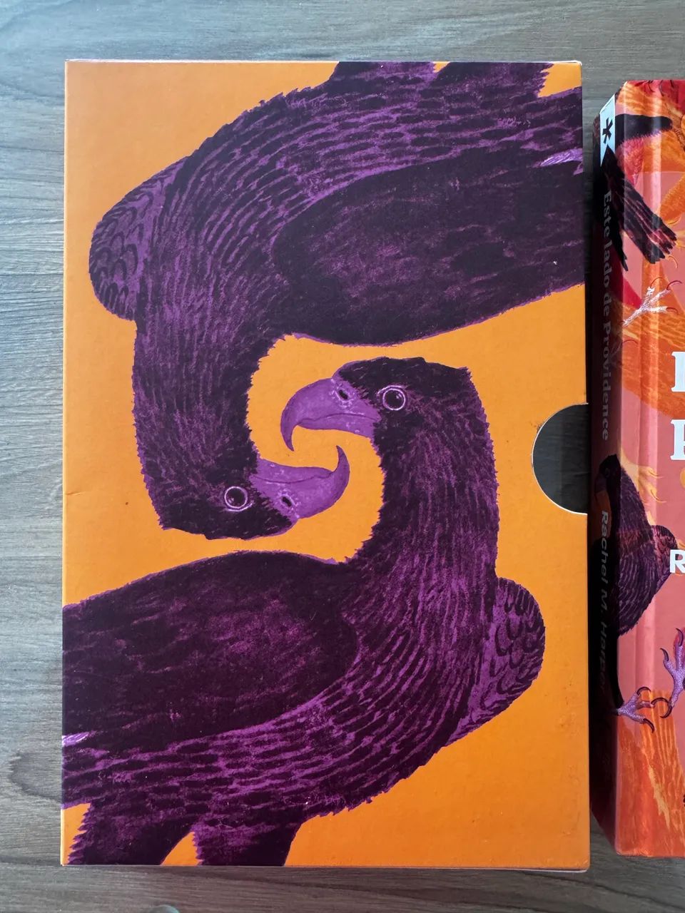 Livro TAG Este lado de Providence - Foto 3