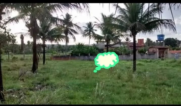 Terreno com registro rural em Saco Encantando, Salgado, Sergipe.  - Foto 2