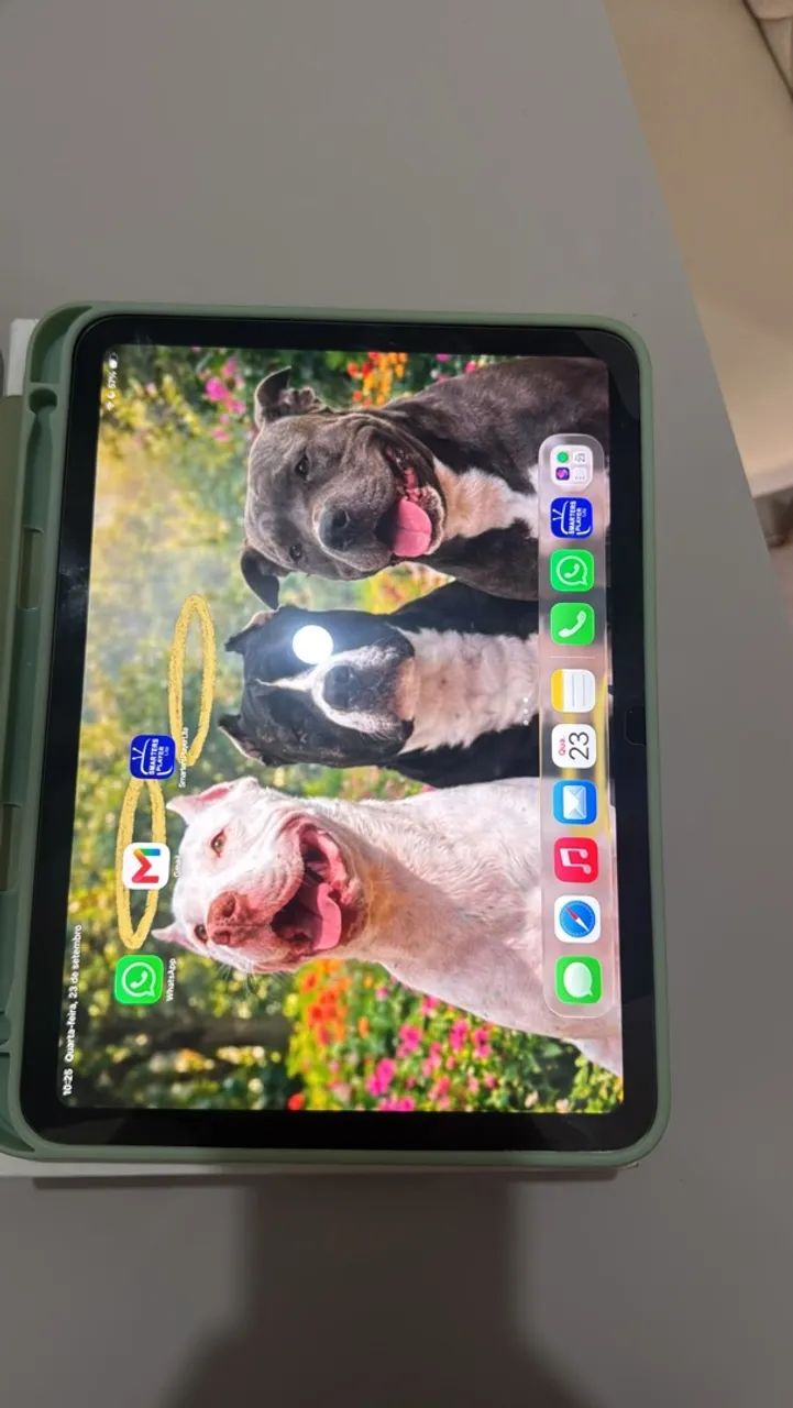 iPad  - Foto 2