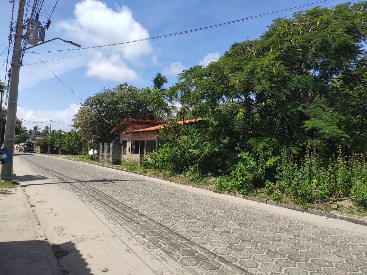 Terreno em Santo Amaro / Ma . Atins  - Foto 2