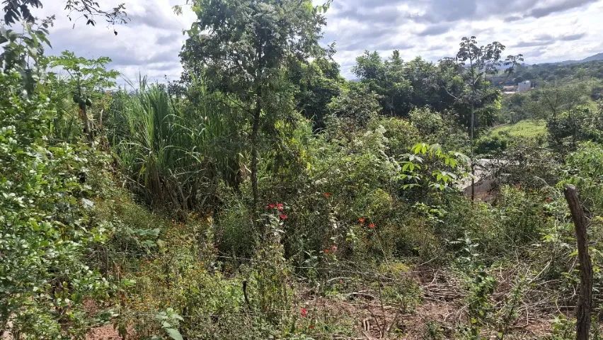 Lote em Juatuba - Foto 4