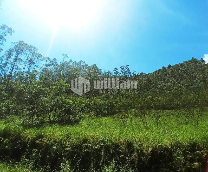 LINDO TERRENO PARA SÍTIO EM BOTUVERÁ - Foto 5