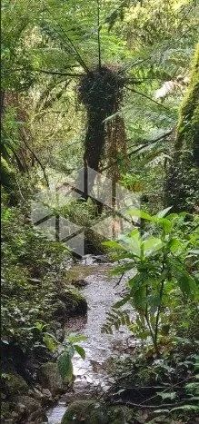 Cabanas em Urubici - SC - Foto 4