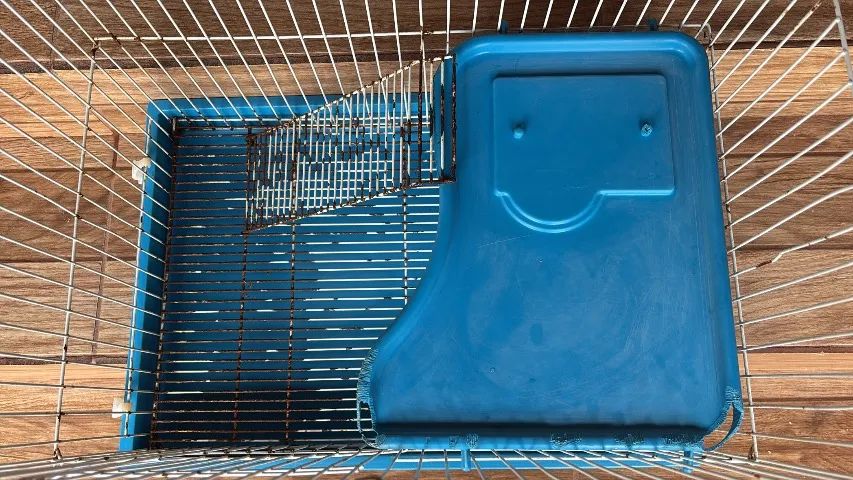 Gaiola de hamster ou coelho ?  - Foto 2