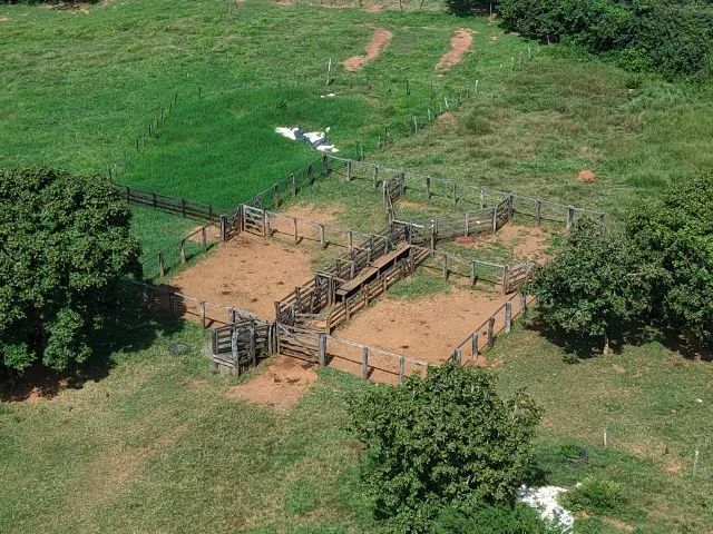 Fazenda para Pecuária em Unaí -Mg - Foto 2