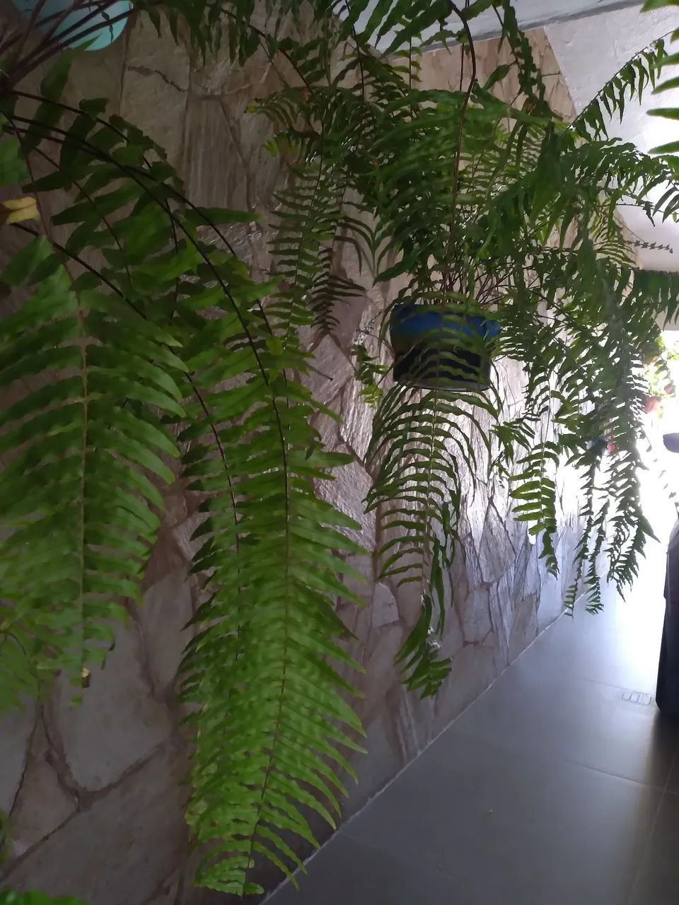 CASA A VENDA EM CONDOMÍNIO 