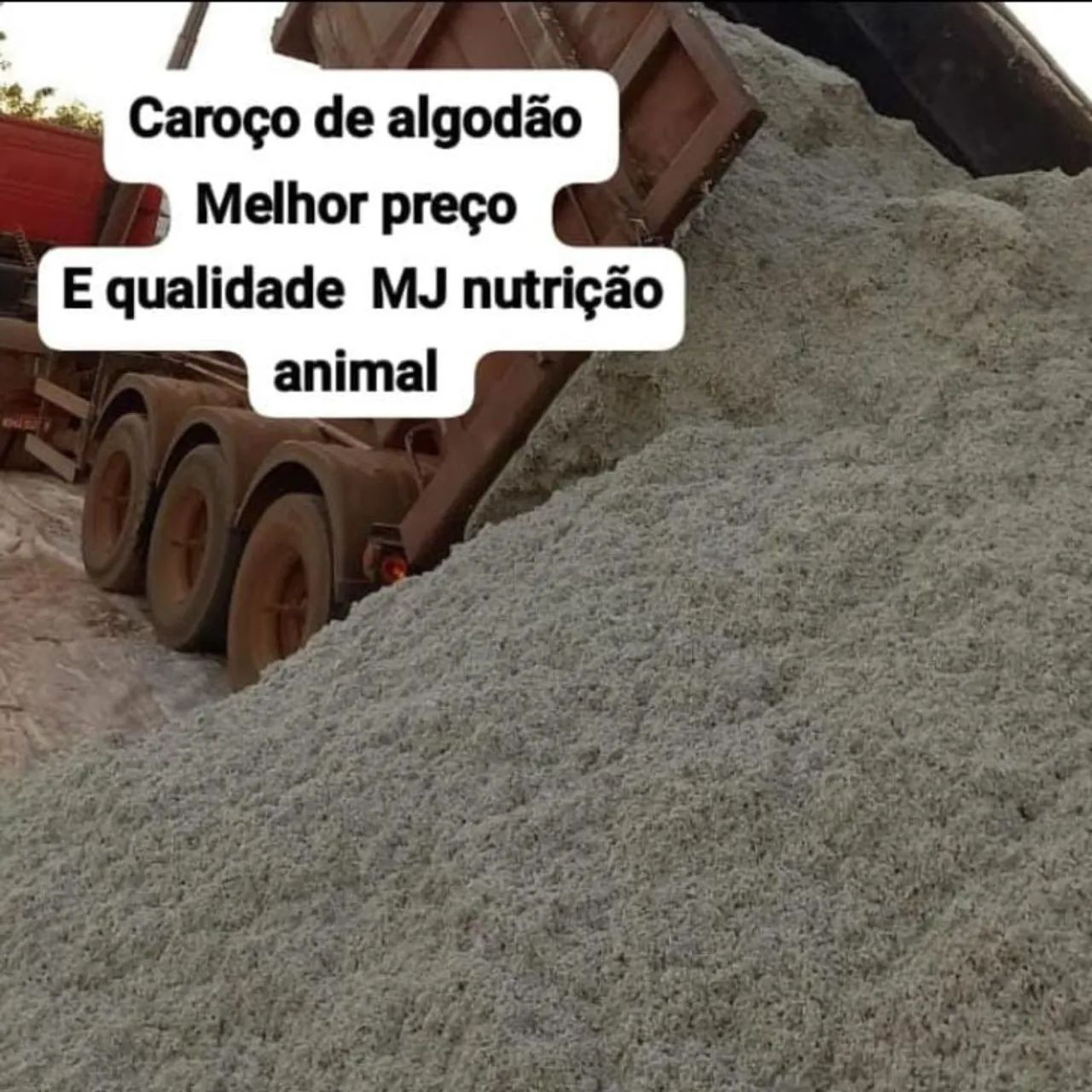 Bagaço de laranja  - Foto 3