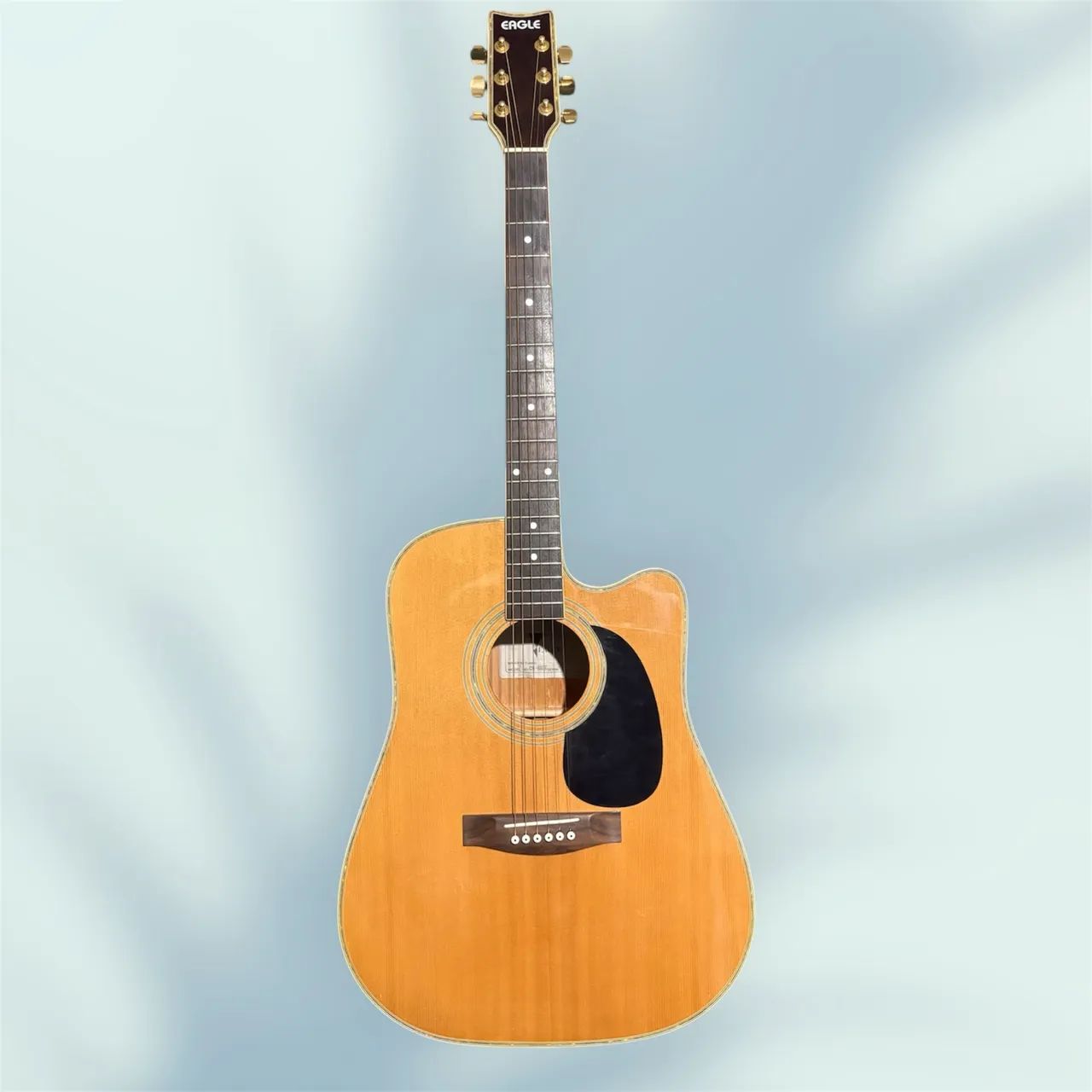 Violão EAGLE CH-889 E