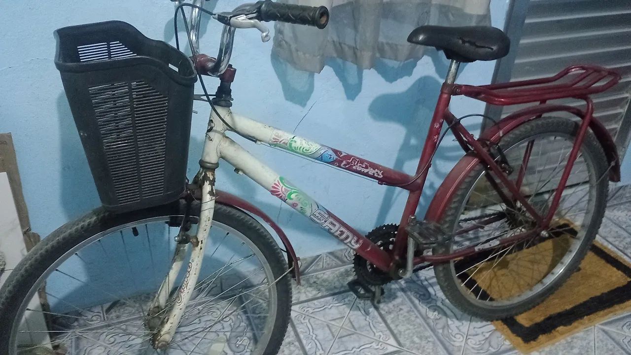 Bike aro 26