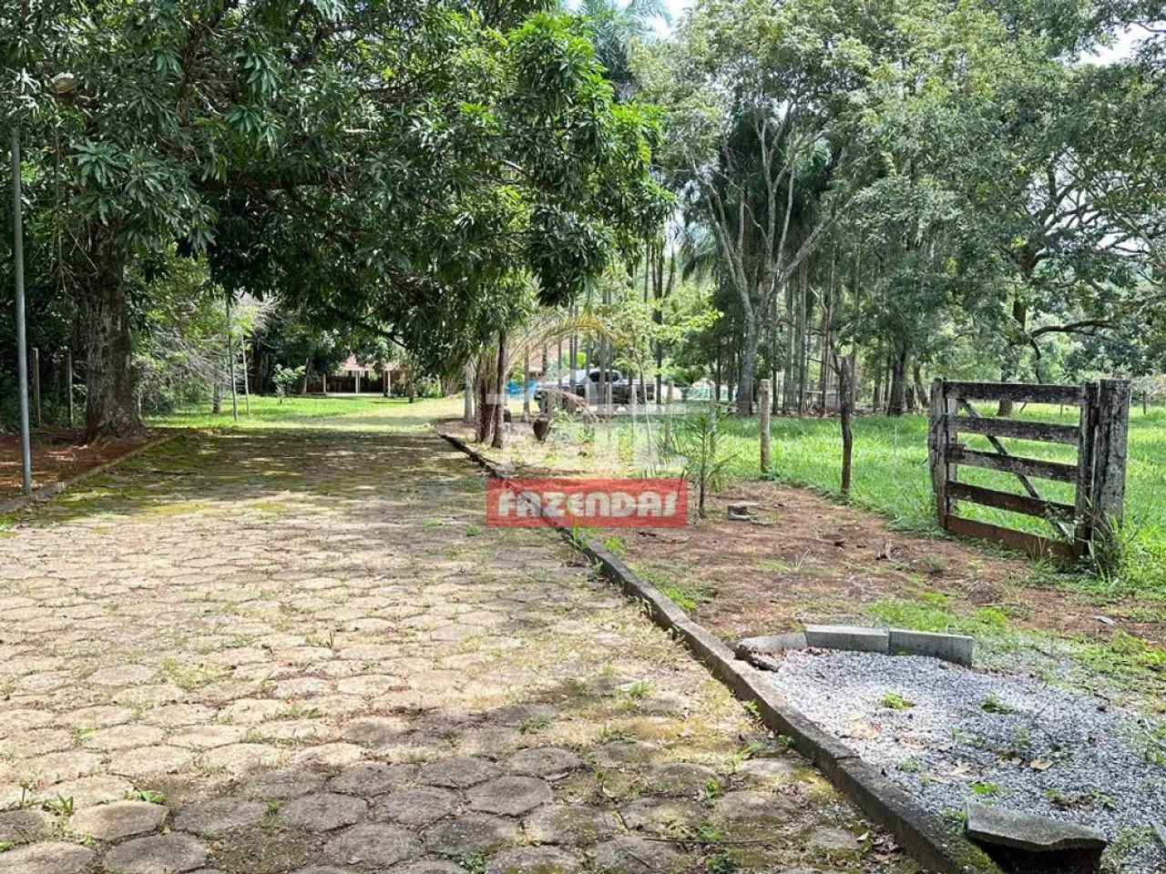 Chácara 30.000m² Aragoiânia - GO - Foto 3