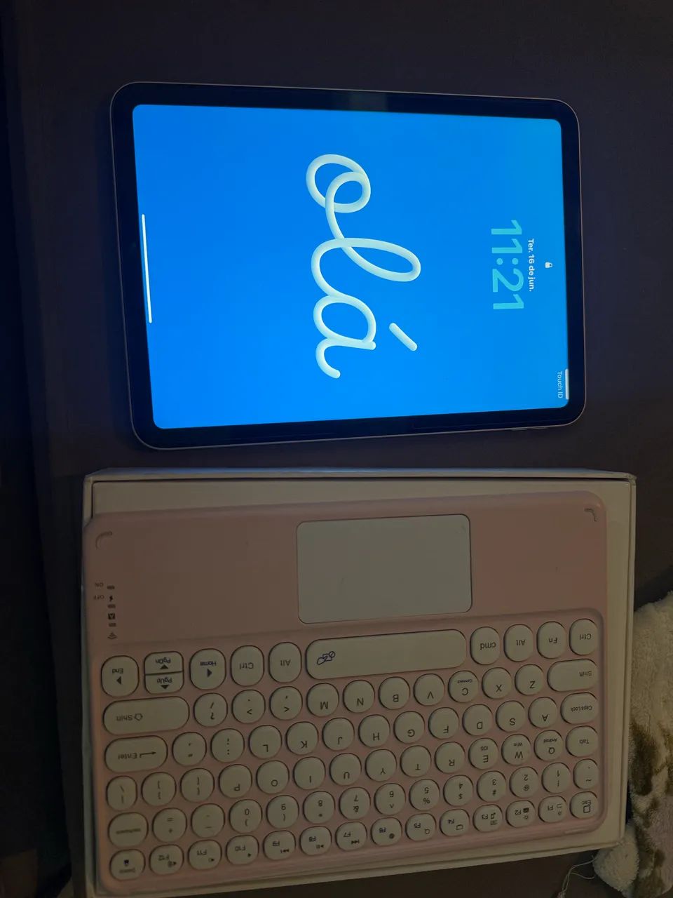 iPad 