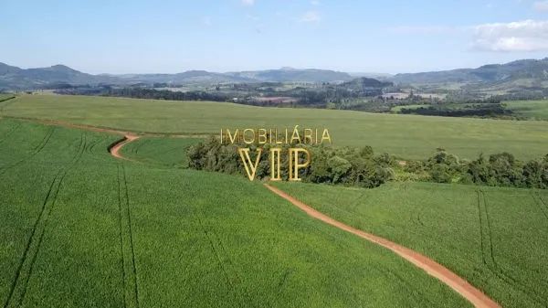Zona Rural - TAMARANA - Foto 4