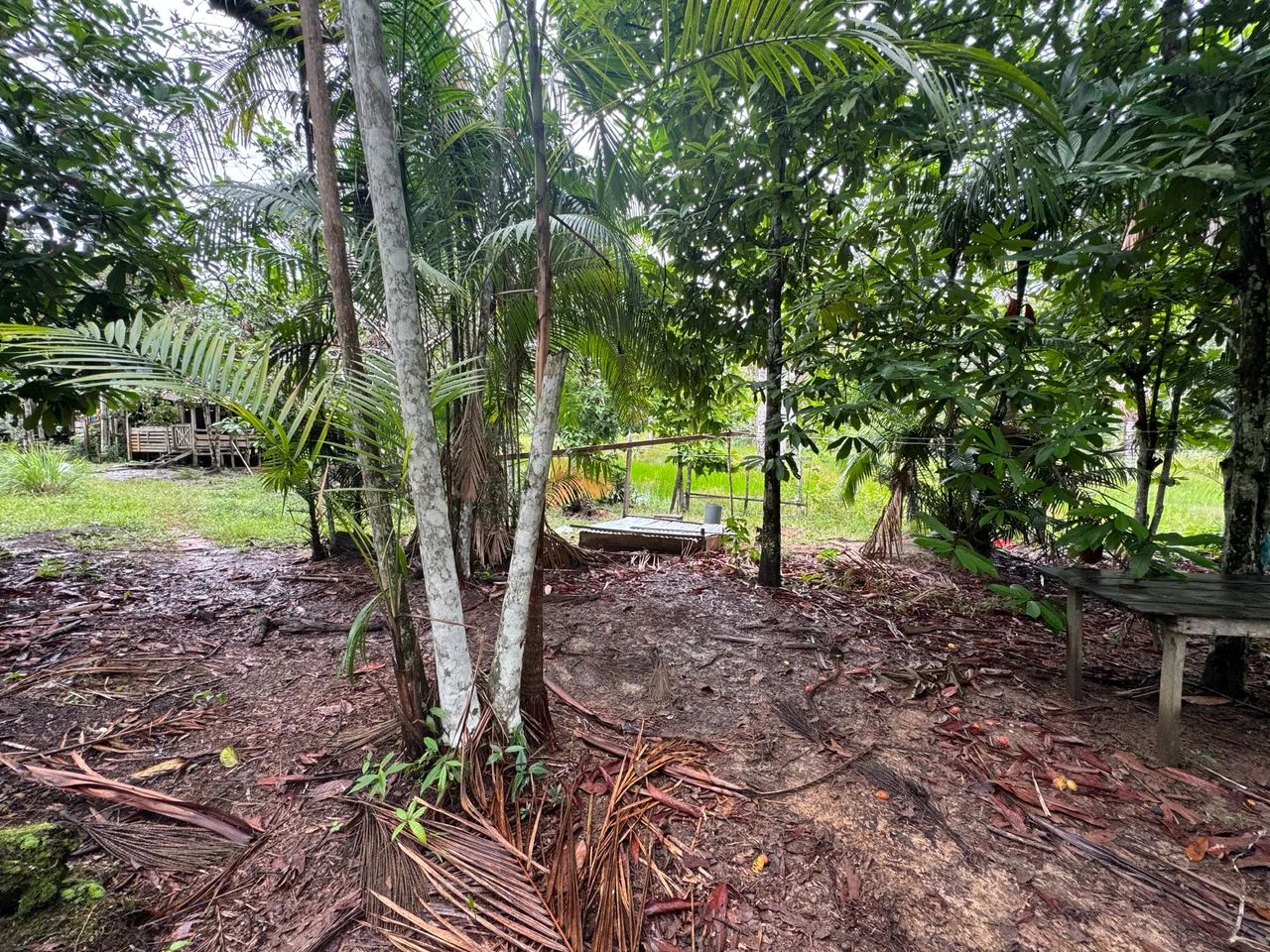 Sitio boa esperança  - Foto 2