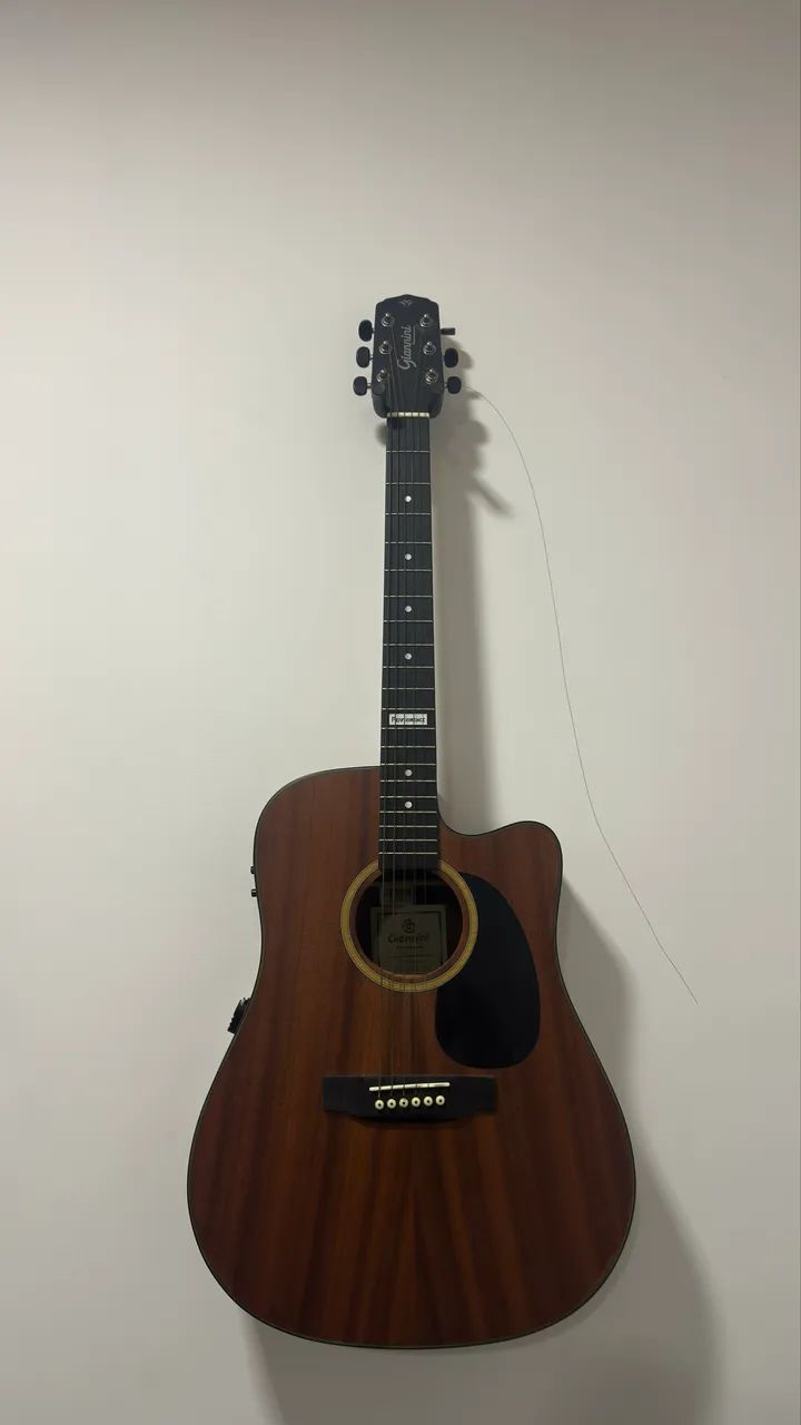 VENDO VIOLÃO GIANINI PERFORMACE