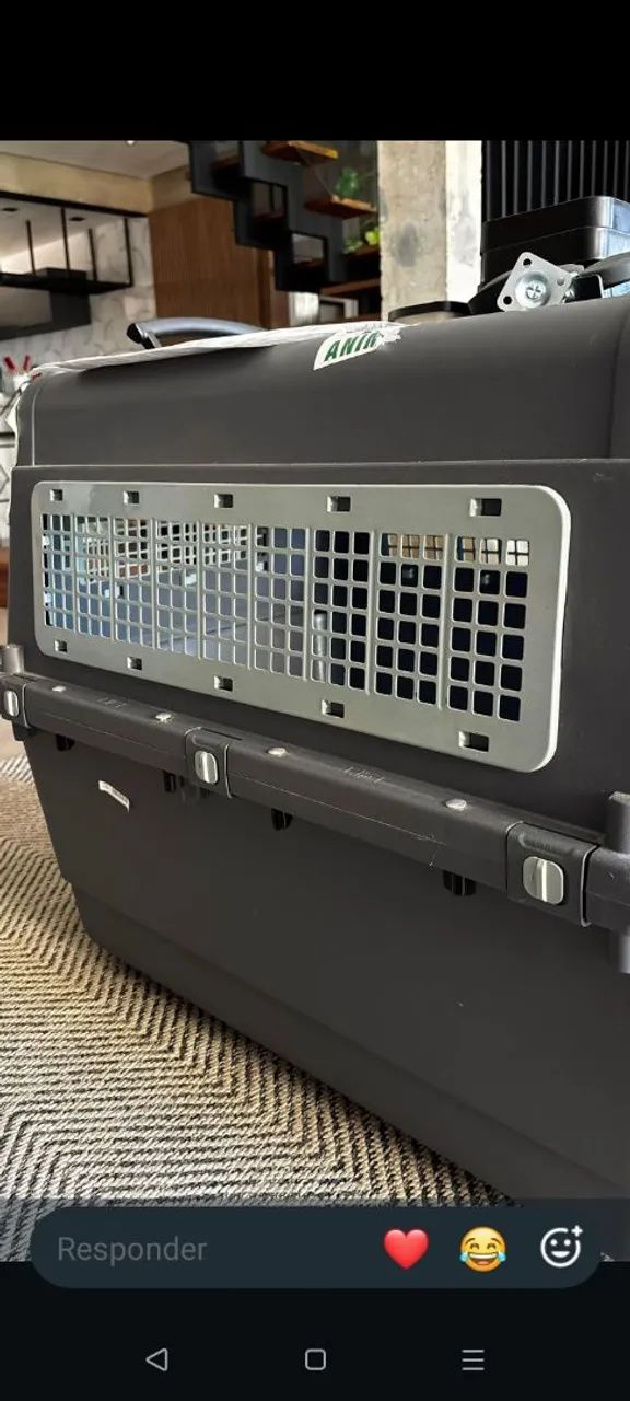 Caixa de Transporte XL  Pet  - Foto 3