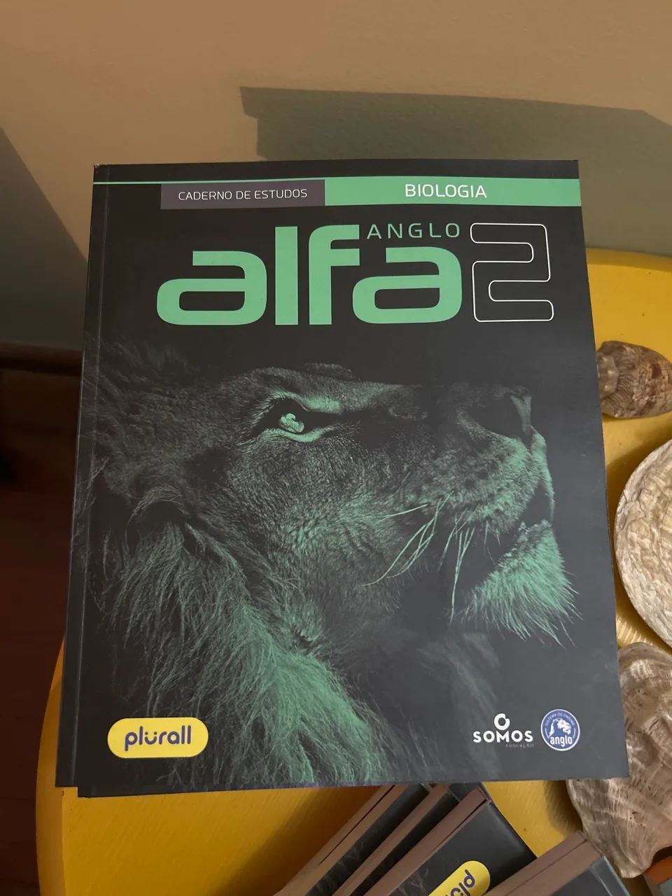 Kit de apostilas alfa anglo 2