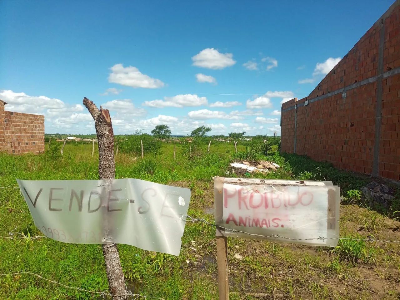 Foto - Simão Dias - 