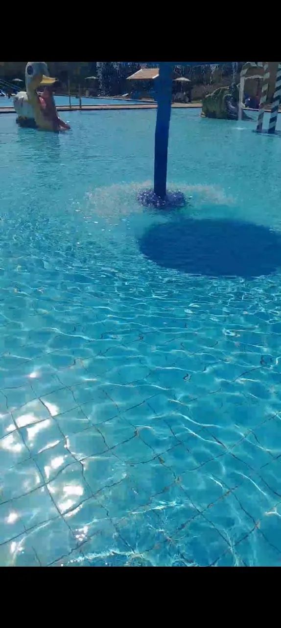 Piscineiro  - Foto 4