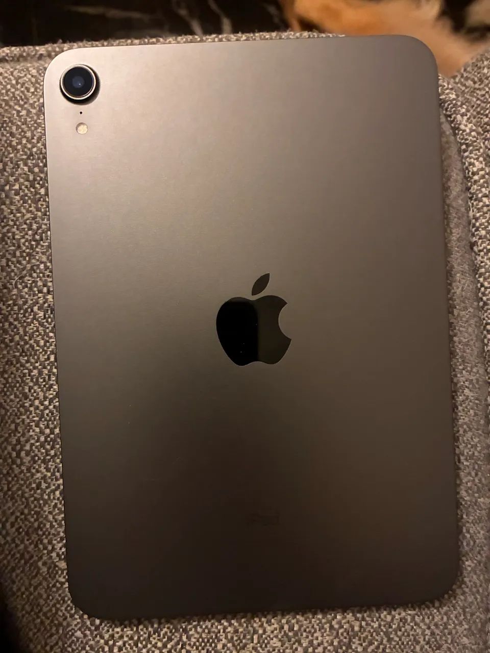 iPad mini  - Foto 3